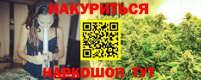 индика Будённовск