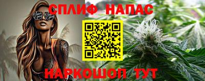 индика Будённовск