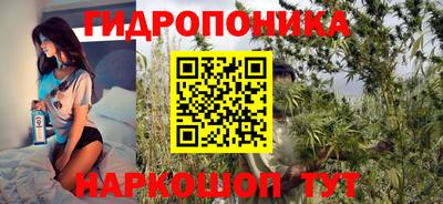 индика Будённовск