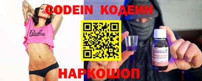индика Будённовск