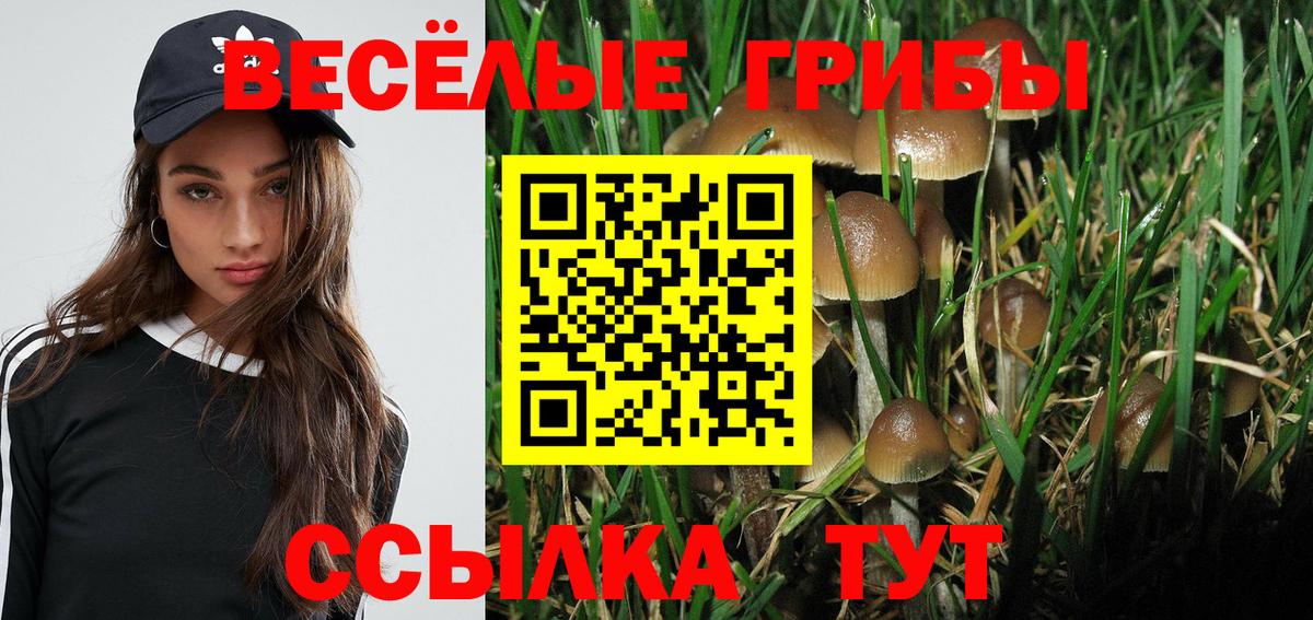 Галлюциногенные грибы GOLDEN TEACHER Комсомольск-на-Амуре