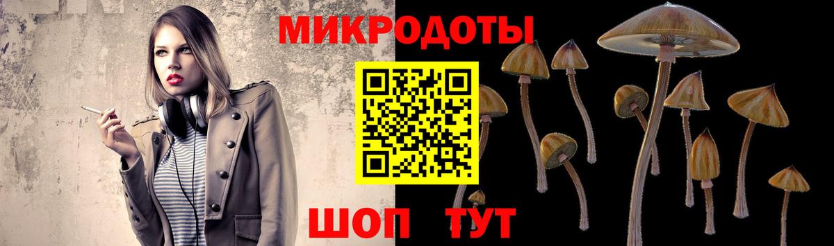 Псилоцибиновые грибы Psilocybe  Вход с VPN  Комсомольск-на-Амуре  купить наркотики сайты  Псилоцибиновые грибы Psilocybine cubensis 